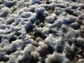 Melting snow on the pavement Royalty Free Stock Photo