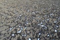 Melting snow on plowed soil Royalty Free Stock Photo