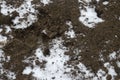 Melting snow on plowed soil. Spring view of plowed field Royalty Free Stock Photo