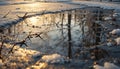 Melting Snow Reflecting Trees and Sunlight in Winter Landscape Royalty Free Stock Photo