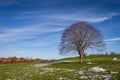Melting snow at Showfield Play Ground, Frome, Somerset, Uk Royalty Free Stock Photo