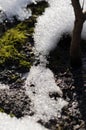 Melting snow