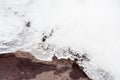 Melting snow, icicles and ice as a background. Outgoing winter, spring weather Royalty Free Stock Photo