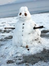 Melting snowman Royalty Free Stock Photo