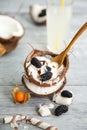 Meltingmelting ice cream in coconut shell, decorated with mulberry and physalis berries Royalty Free Stock Photo