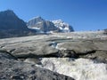 Meltwater River from Toe of Athabasca Glacier, Jasper National Park, Alberta, Canada Royalty Free Stock Photo