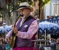 New Orleans Jazz Band banjo Player performs at Disneyland, Anaheim, California Royalty Free Stock Photo