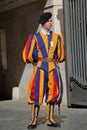 Member of the Pontifical Swiss Guard in Vatican