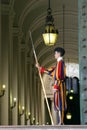 A member of the Pontifical Swiss Guard, Vatican Royalty Free Stock Photo