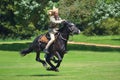 Member of Punjab Lancer in full gallop during demonstration of tent pegging.