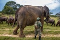 Members of big five African animals, elephant and buffalo in Imire national animal park, secured by ranger