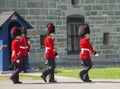 The members of the Canadian Royal 22nd Regiment Royalty Free Stock Photo