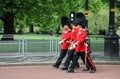 Members of the Household Division in central London, during rehearsals for Trooping the Colour