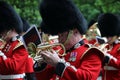 Members of the Household Division in central London, during rehearsals for Trooping the Colour