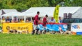 Warwickshire Beagles parading at the Hanbury Countryside Show, Worcestershire, England.