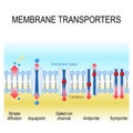 Membrane transporters. vector illustration Royalty Free Stock Photo