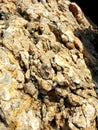 Membranes of exotic mountain rocks, topography and various shapes Royalty Free Stock Photo