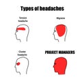 Meme about project managers