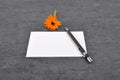 Memo, pen and common marigold on slate Royalty Free Stock Photo