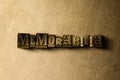 MEMORABILIA - close-up of grungy vintage typeset word on metal backdrop