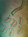 memorandum of association clauses displayed on water drop art abstract
