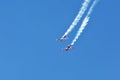 Memorial Airshow. Flying Bulls aerobatics team with ExtremeAir XA42 planes