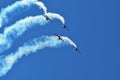 Memorial Airshow. Flying Bulls aerobatics team with ExtremeAir XA42 planes