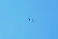 Memorial Airshow. Let L-13 Blanik glider, sailplane with parachutist or skydiver