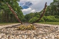 memorial camp Westerbork Royalty Free Stock Photo