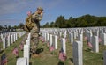 Memorial Day at Cape Canaveral National Cemetery Royalty Free Stock Photo