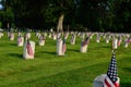 Memorial Day cemetary with flags Royalty Free Stock Photo