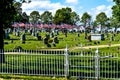 Memorial Day Cemetery with USA Flags Flying Royalty Free Stock Photo