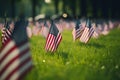 Memorial Day tribute. Many small American flags on a green lawn, neural network generated photorealistic image Royalty Free Stock Photo