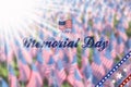 Memorial Day USA. Beautiful text on a background of blurs from many American flags in memory of our heroes Royalty Free Stock Photo