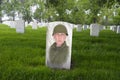 Memorial Day, War Veteran Cemetery, Army Solider Royalty Free Stock Photo
