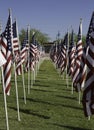 911 Memorial Healing Field American Flags