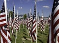 911 Memorial Healing Field American Flags