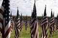 911 Memorial Healing Field American Flags