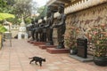 Memorial for Japanese photographer killed in Cambodian war