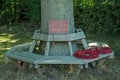 Memorial Oak Tree, Sandham Memorial Chapel, Hampshire Royalty Free Stock Photo