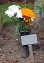 Memorial plaque and flowers in cemetery Royalty Free Stock Photo