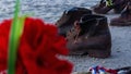 Memorial of the  Shoes on the Danube Bank in Budapest, Hungary Royalty Free Stock Photo