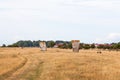 Memorial stone in a meadow