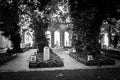 Memorial stones Jewish Cemetery