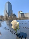 Memorial white rose at the 911 Memorial World Trade Center, New York