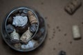 Seashells, wine corks, chestnuts and cones in glass wine Royalty Free Stock Photo