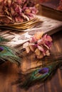 Memories - Old book and photo album, dried flowers and peacock feather eye Royalty Free Stock Photo