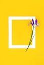 In Memorium RIP Funeral Iris Flower Background Frame