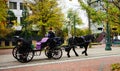 Memphis downtown horse ride