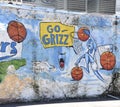 Memphis Grizzlies Wall Art and Freso, Memphis, TN